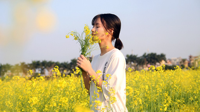 Giới trẻ thủ đô đua nhau đi ngắm cải vàng đầu đông